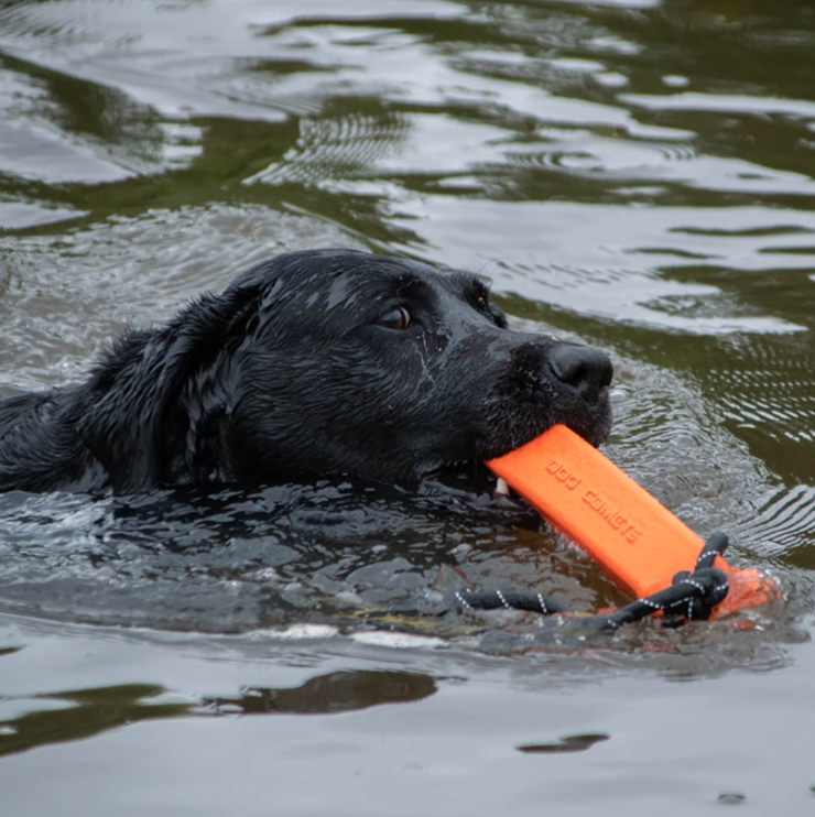 Dog Comets Orion Dummy grön