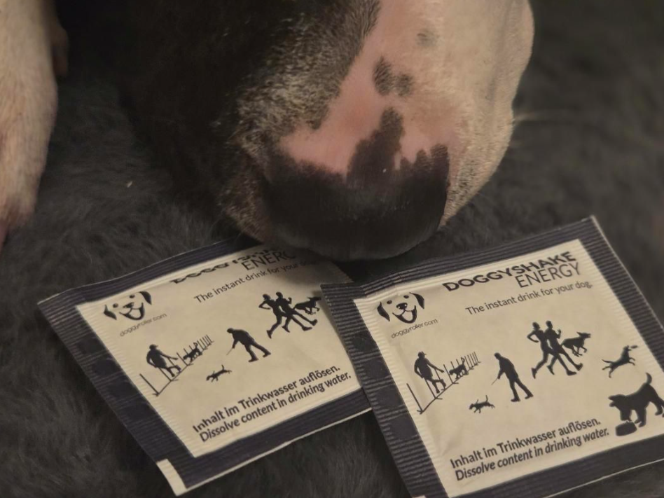 Doggyshake Energy – Energidryck för hundar | 1 st