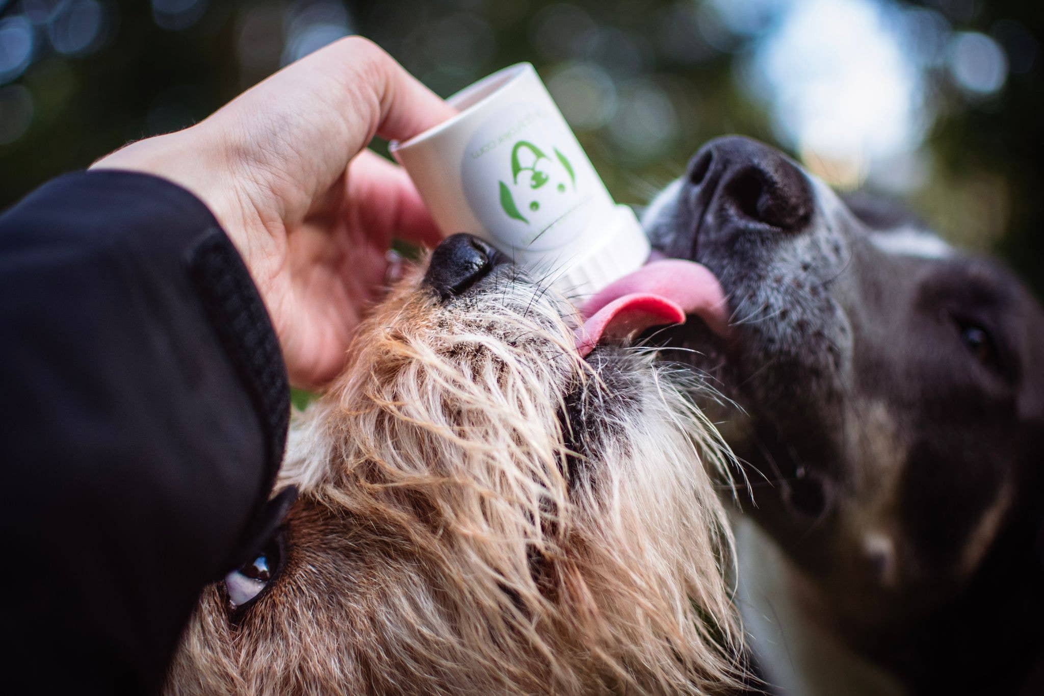 Doggyroller Doggypumper med snodd – Belöningspump för våtfoder