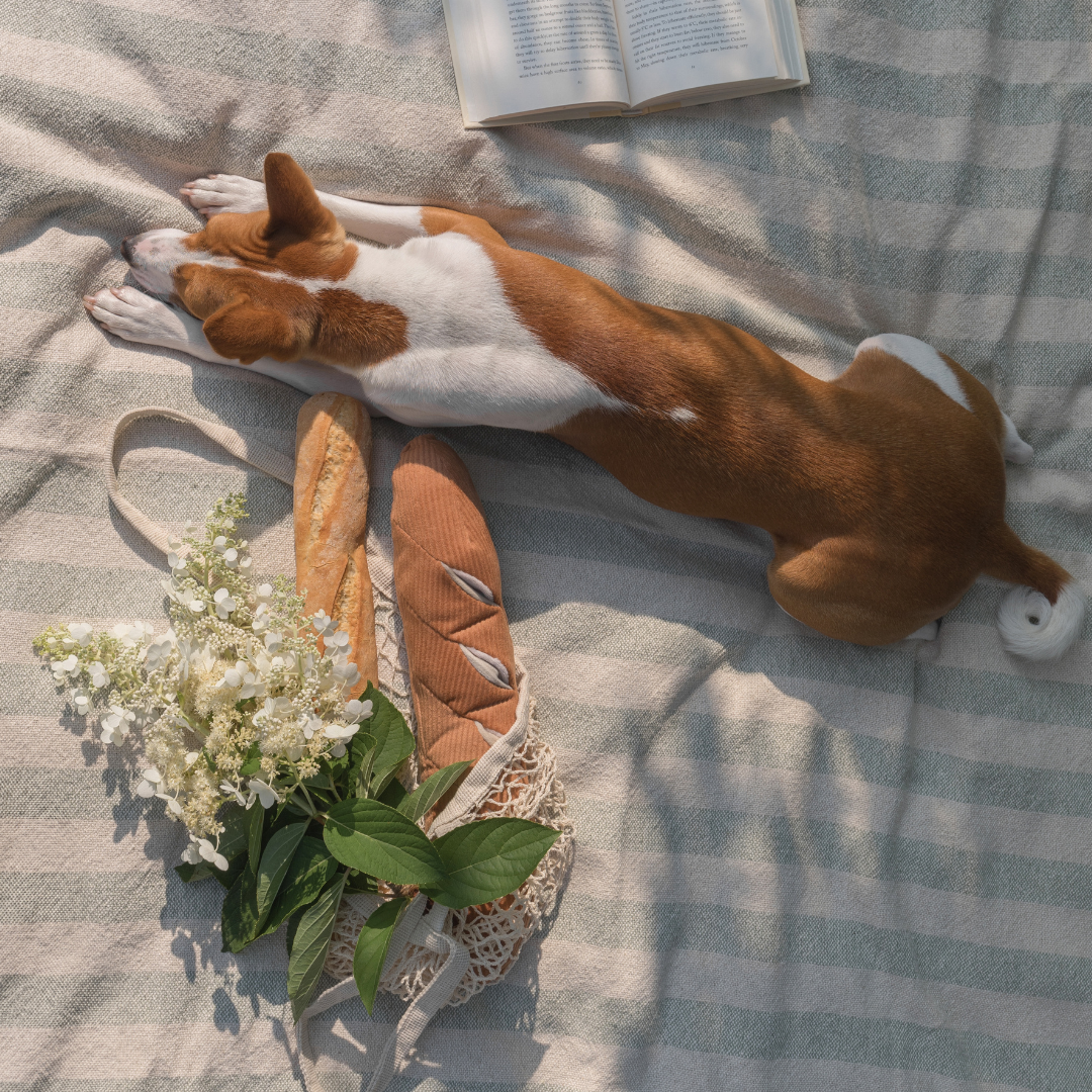 Lambwolf EU – BAGUETTE // Berikningsleksak för hund // Snuffle-leksak