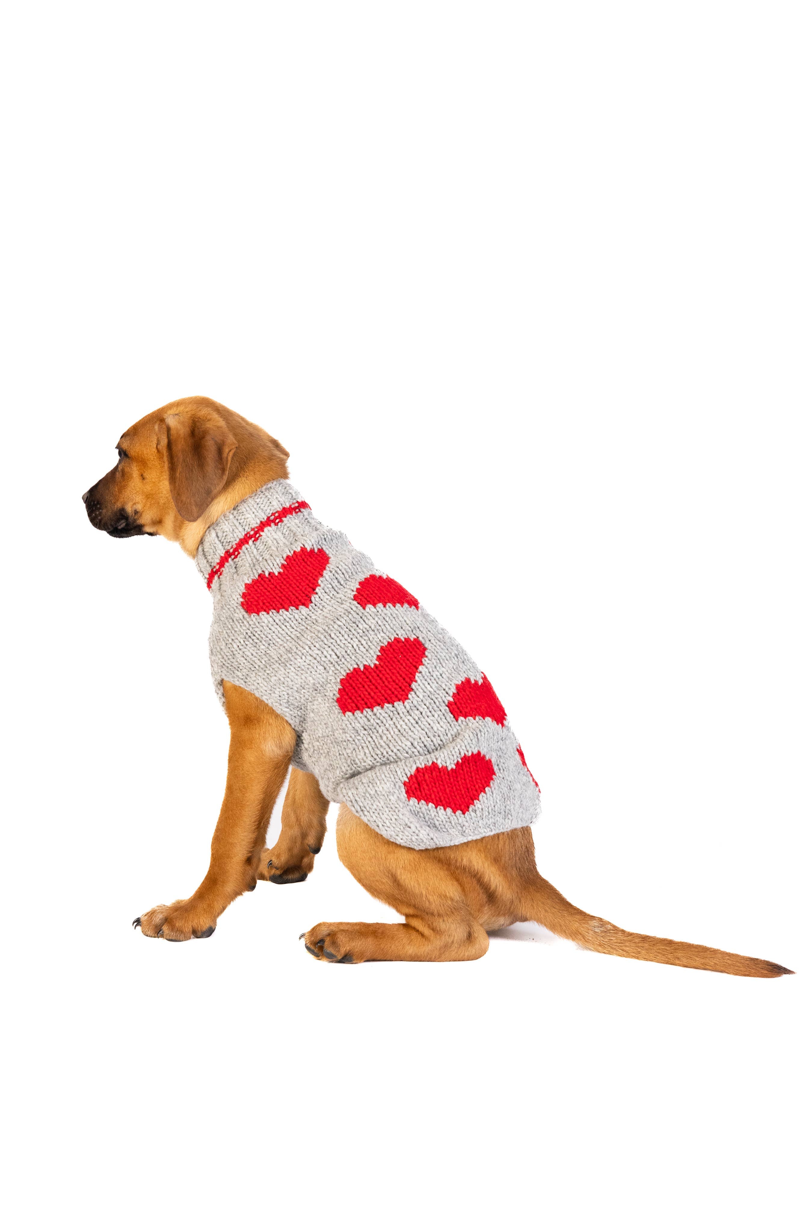 Chilly Dog Red Heart – handstickad hundtröja i ull Medium