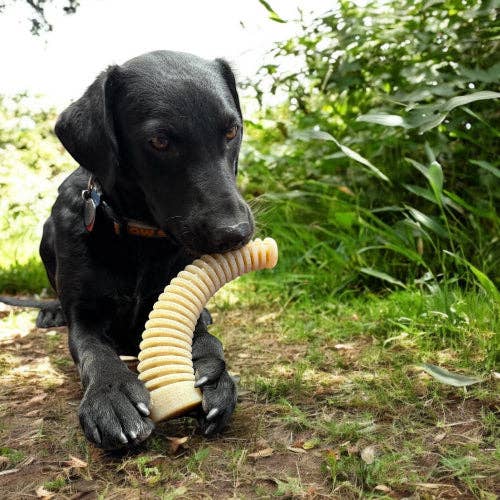Flufflehorn Dental Antler XL – hornformat nylontugg för hund