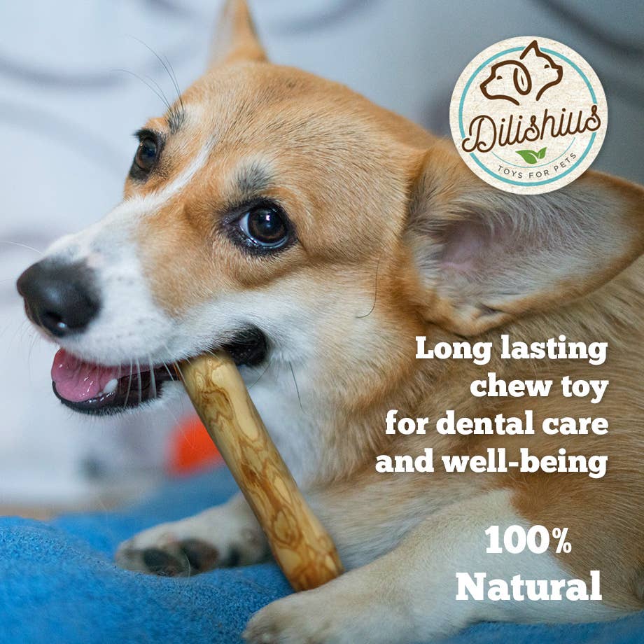 Dilishius Coffee Wood Dog Chew – Naturlig tuggleksak av kaffeträ | Premium