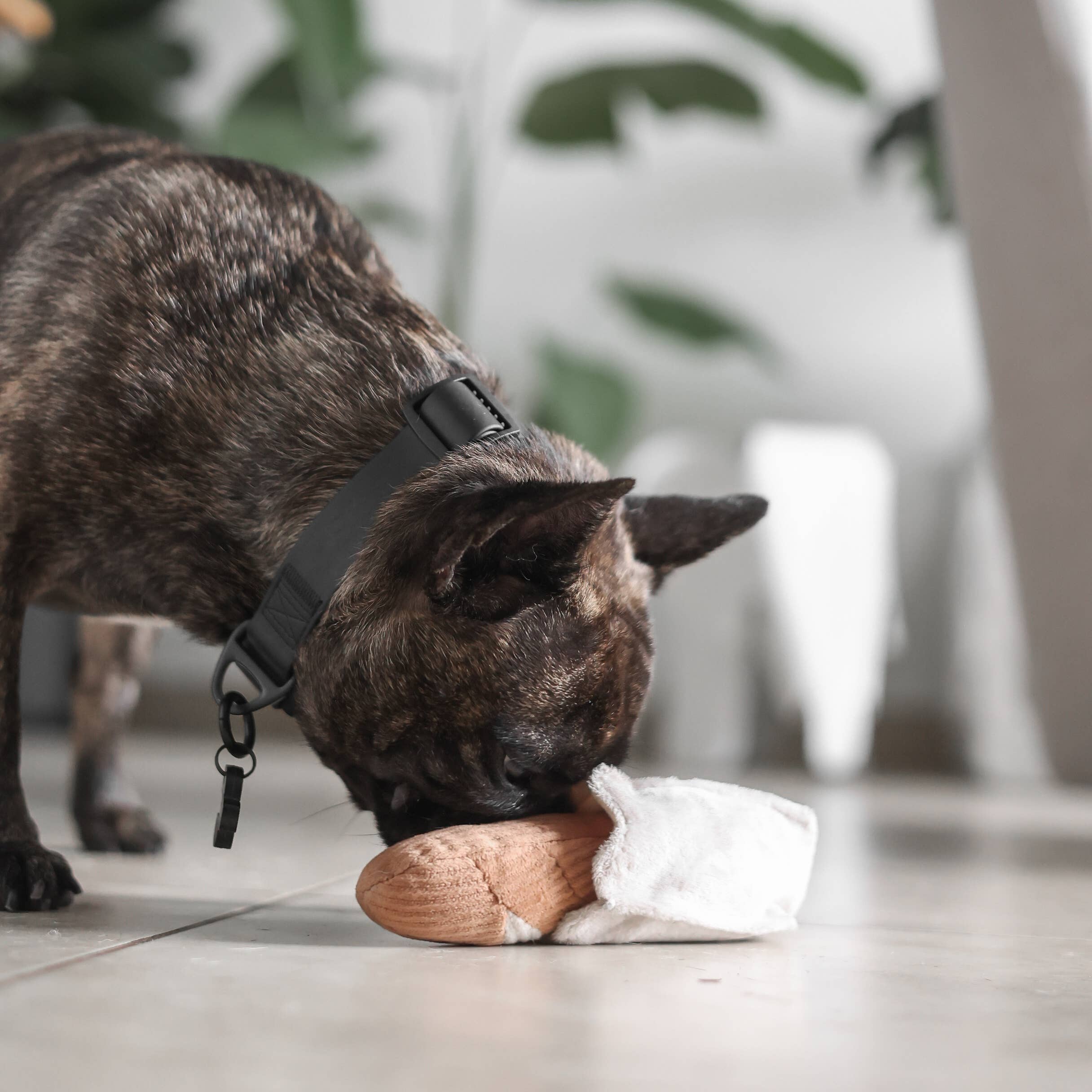 Mini Baguette – Berikningsleksak för hund | Burrow & nosarbete