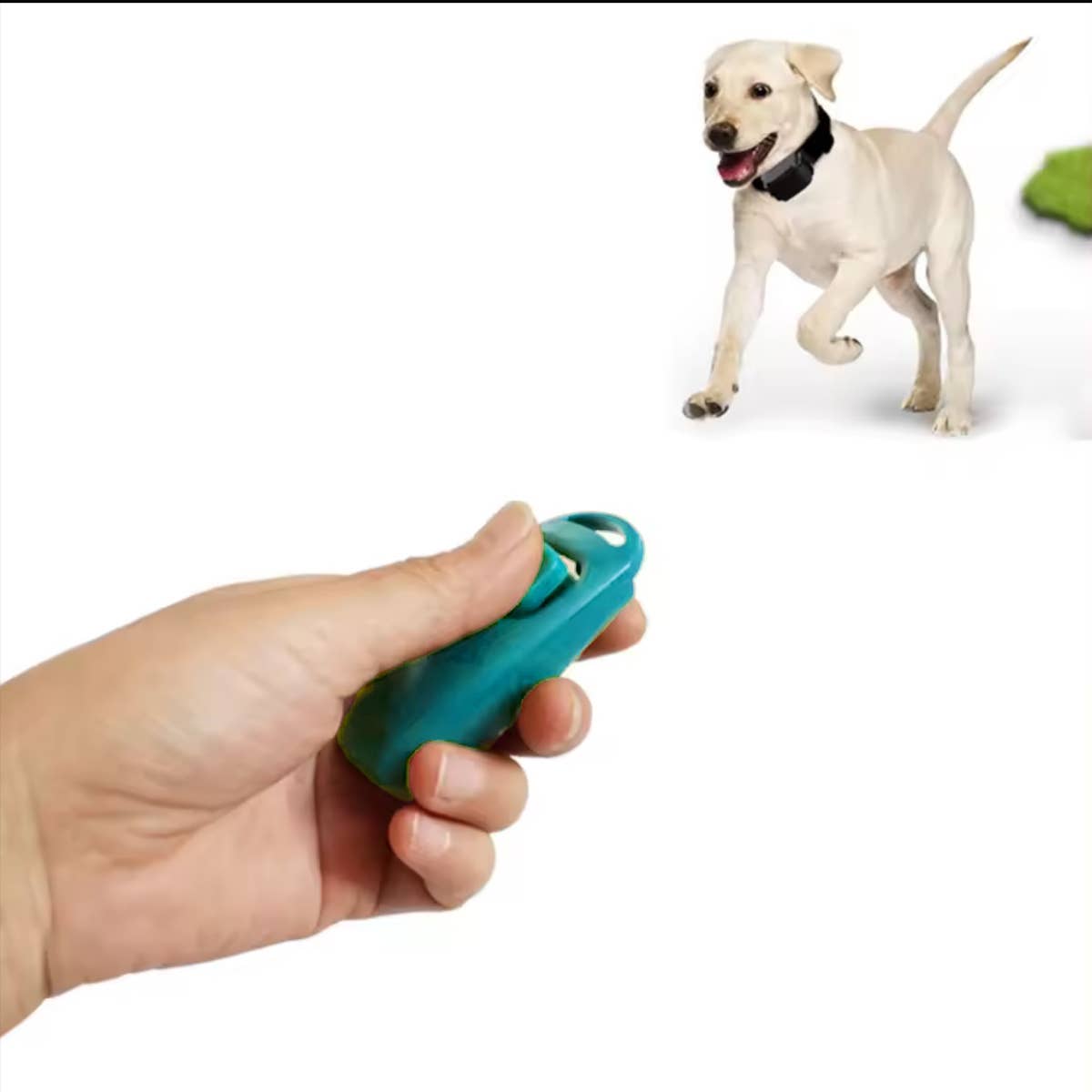 Doggyroller – Professionell klicker med hundvisselpipa