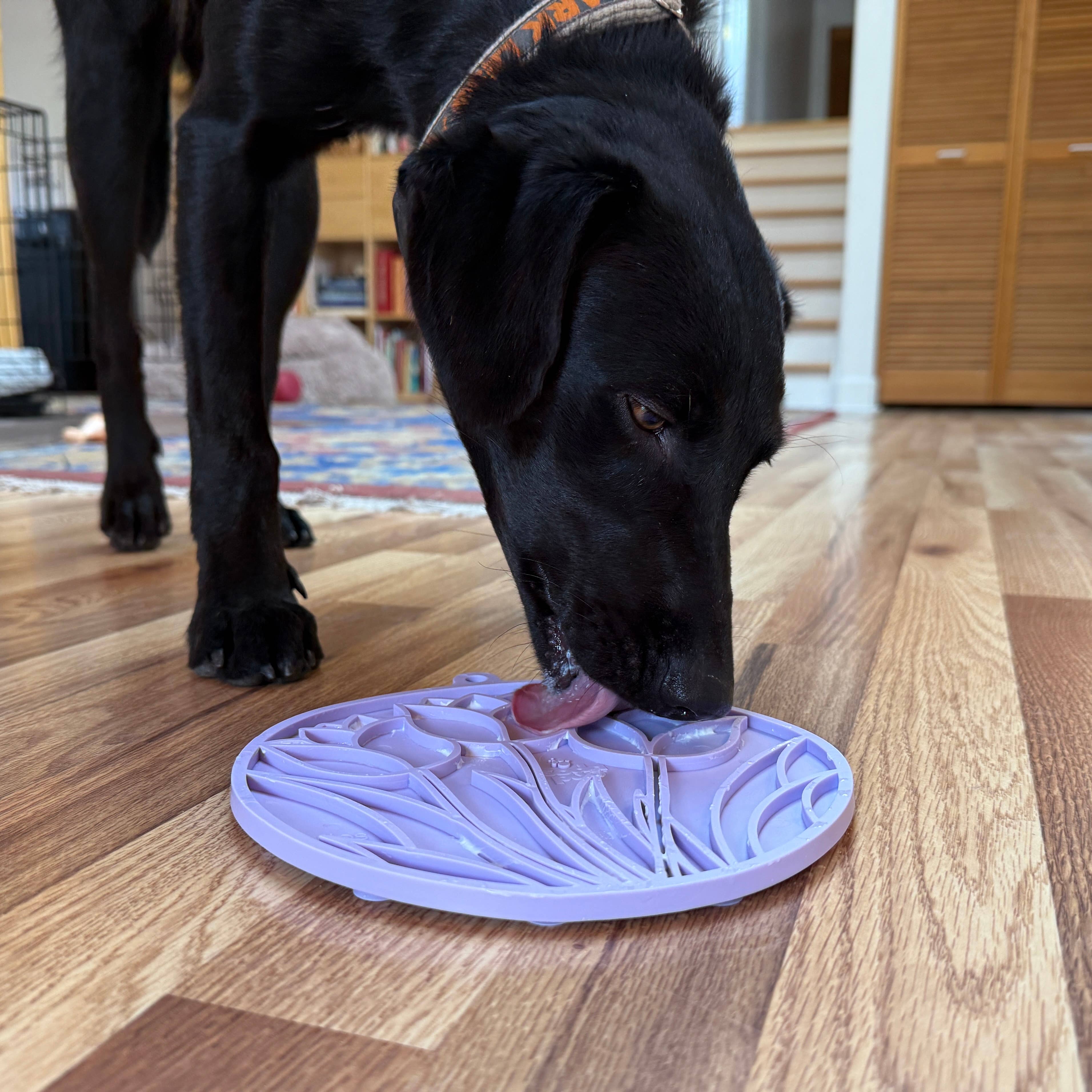 SodaPup Dog Toys - Tulpan Design eMat Berikningsslickmatta Med Sugkoppar: Pastelllila Lotus emat