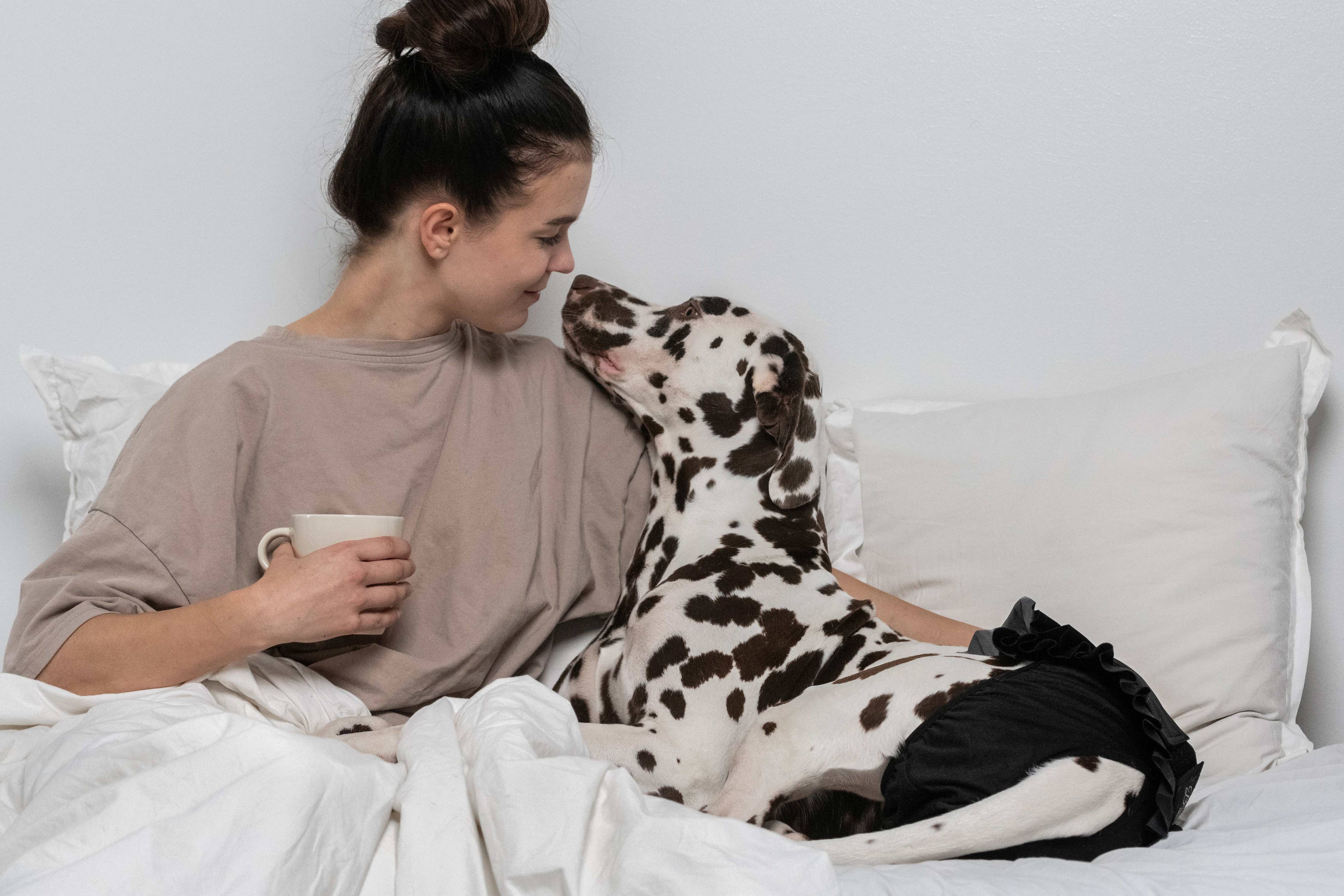 FINNERO BALLERINA Hundhygienbyxor – Rosa | Tvättbara tikskydd