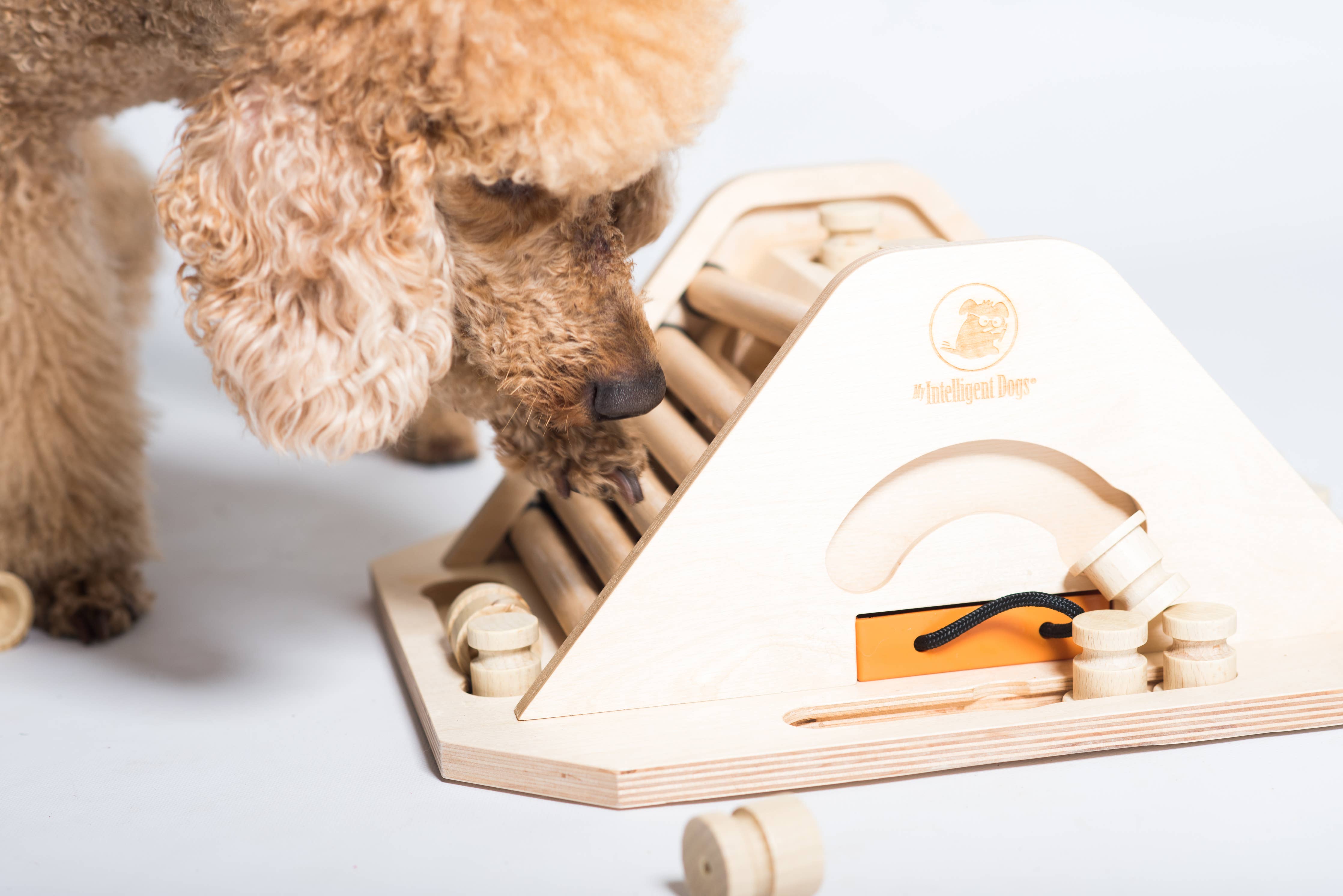 My Intelligent Dogs - Pyramid - utmanande och stimulerande hundspel
