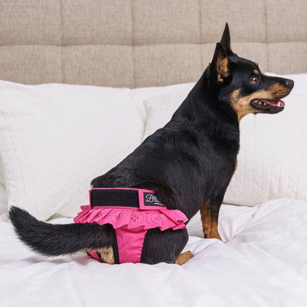 FINNERO BALLERINA Hundhygienbyxor – Rosa | Tvättbara tikskydd