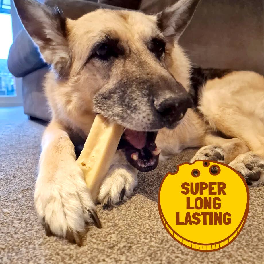 Yakost Himalaya Cheese Chew 180 g | Långvarigt Hundtugg