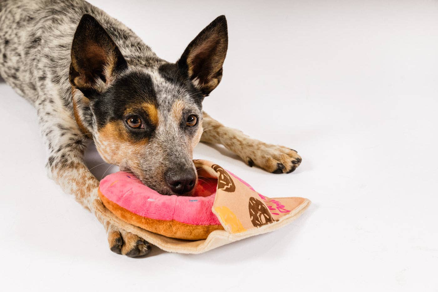 P.L.A.Y Pup Cup Café Doughboy Donut hundleksak