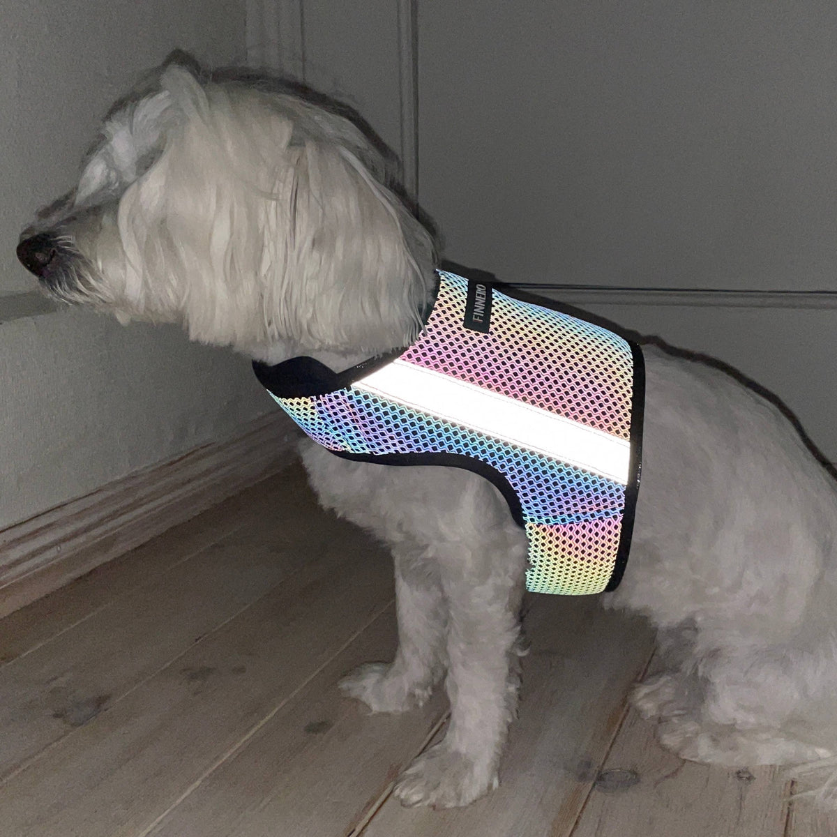 GLOW – Helreflekterande reflexväst för hund med regnbågseffekt