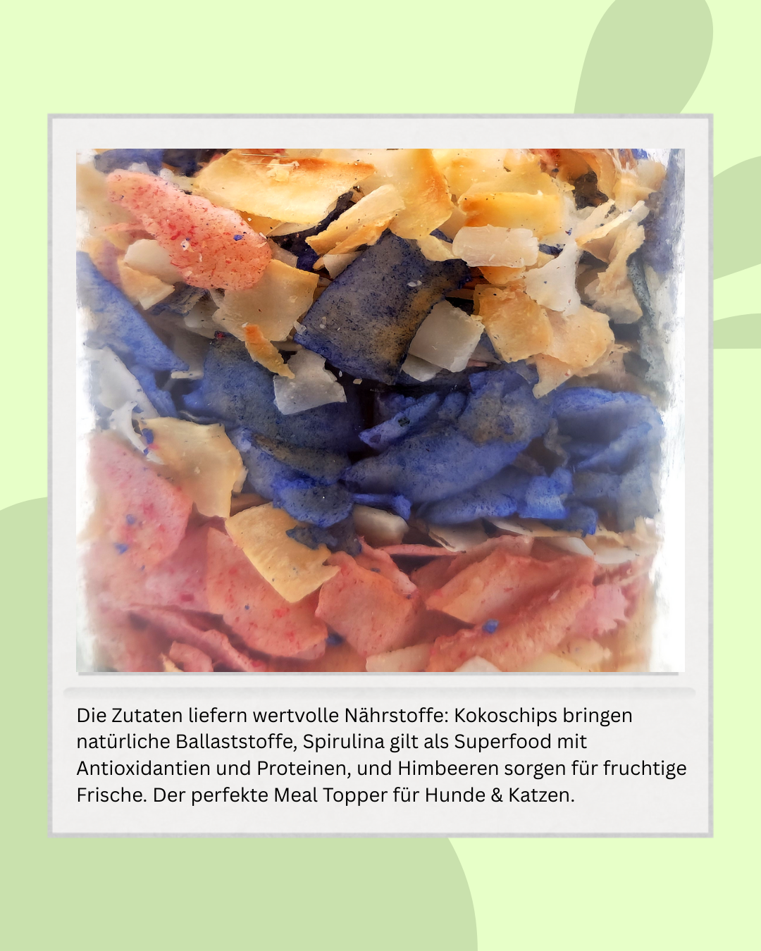 Superfood Rainbow BARF-topping med kokos, spirulina & hallon