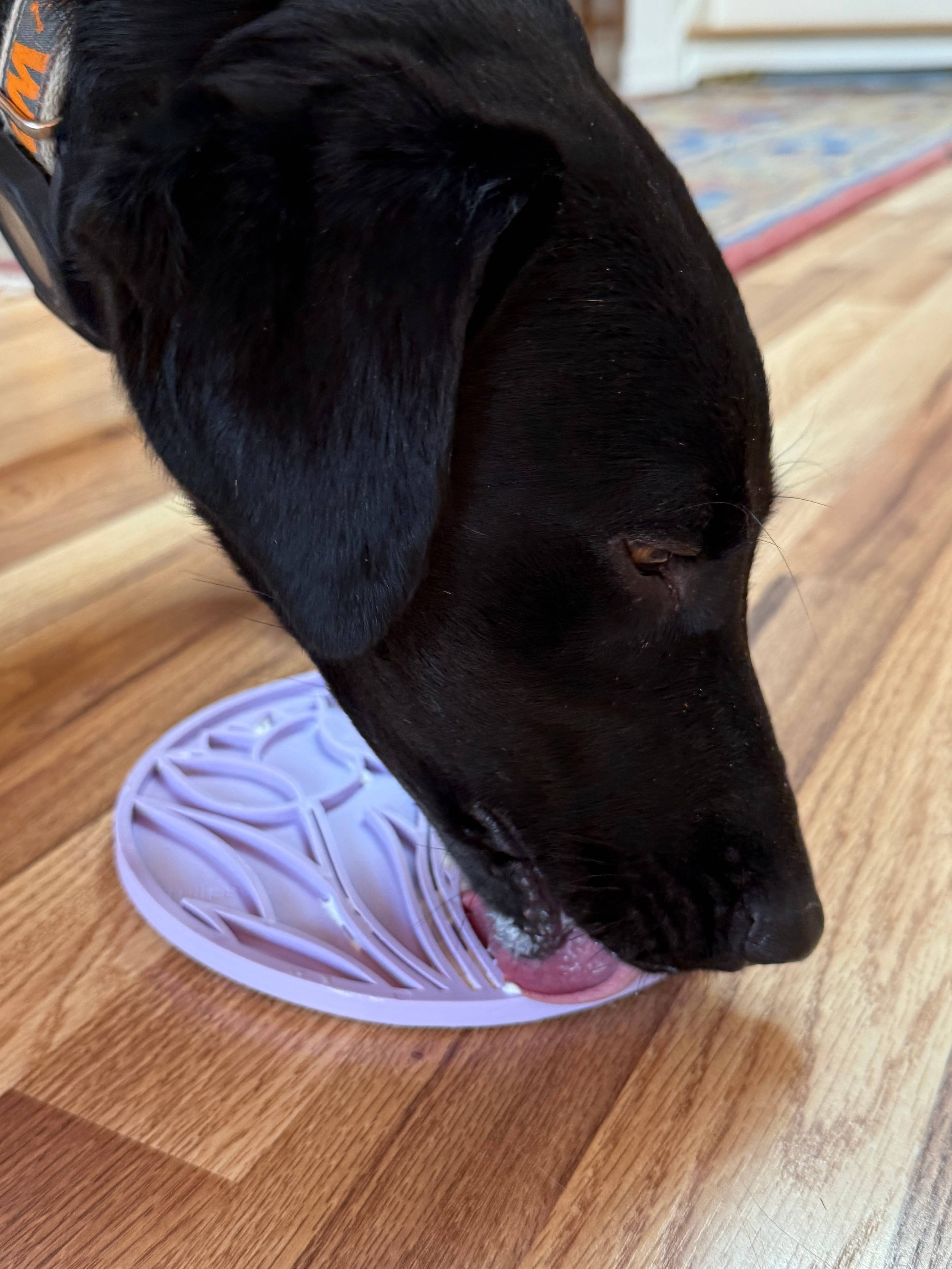 SodaPup Dog Toys - Tulpan Design eMat Berikningsslickmatta Med Sugkoppar: Pastelllila Lotus emat
