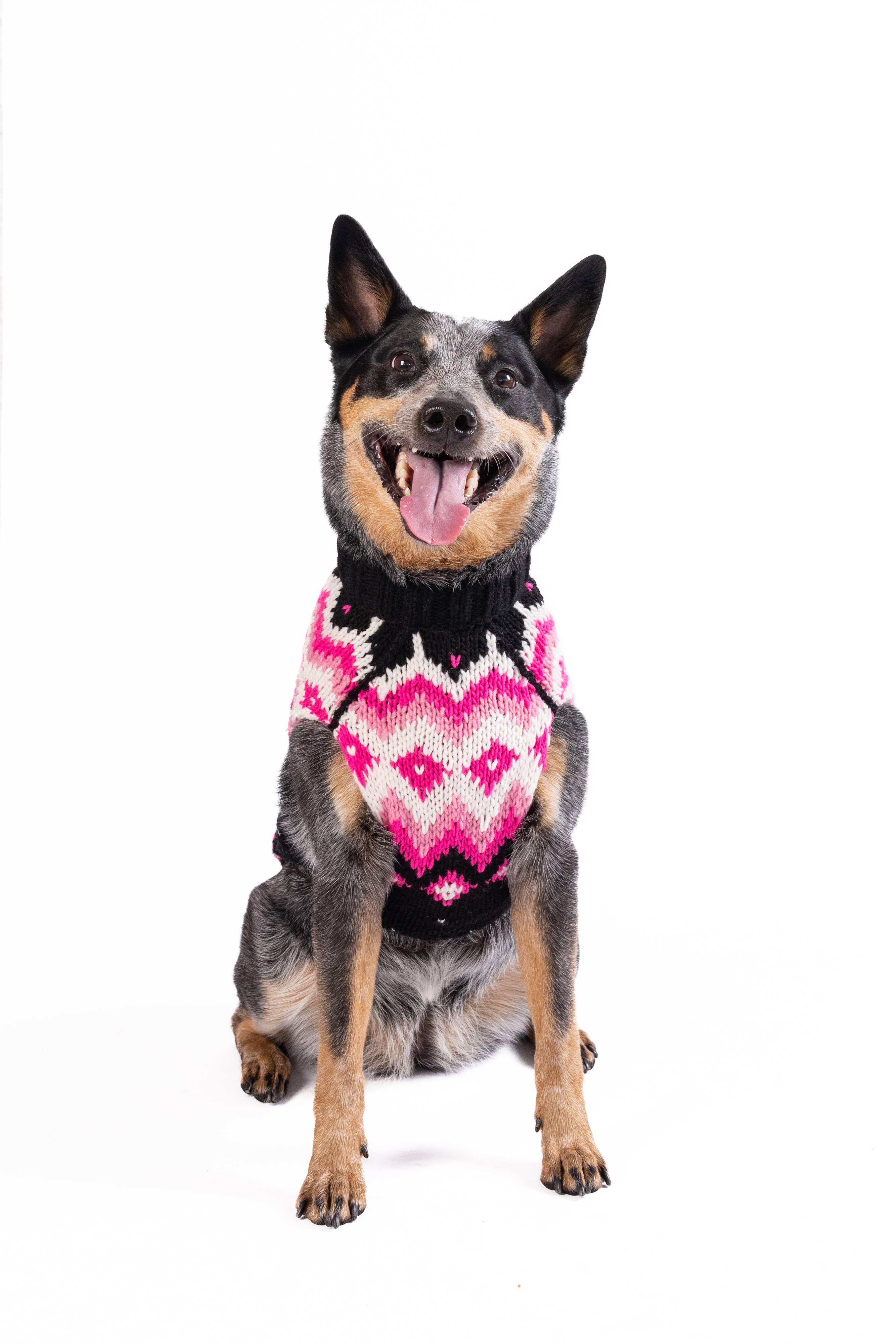Chilly Dog Arctic Pink – handstickad hundtröja i alpackaull XXXL