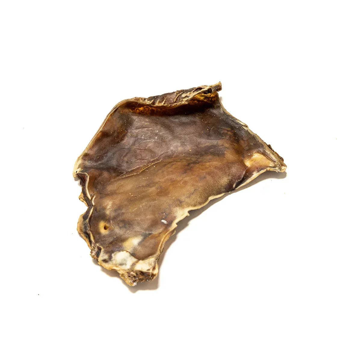 A PET STORE - Kamelskinnsplatta 20 x 20 cm – Gourmettugg för hund