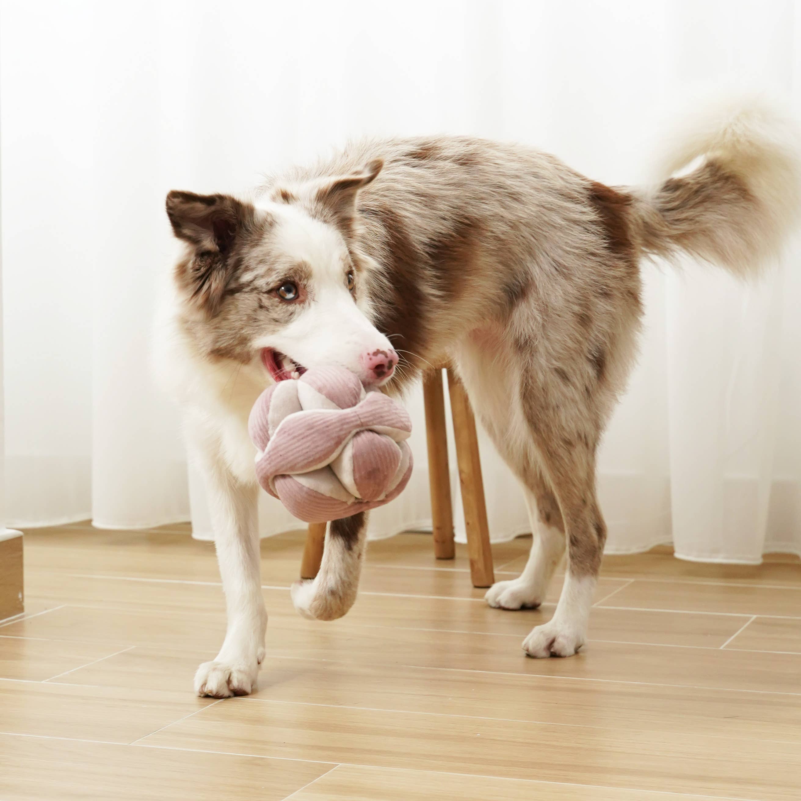Lambwolf Monti Rosa Berikningsleksak