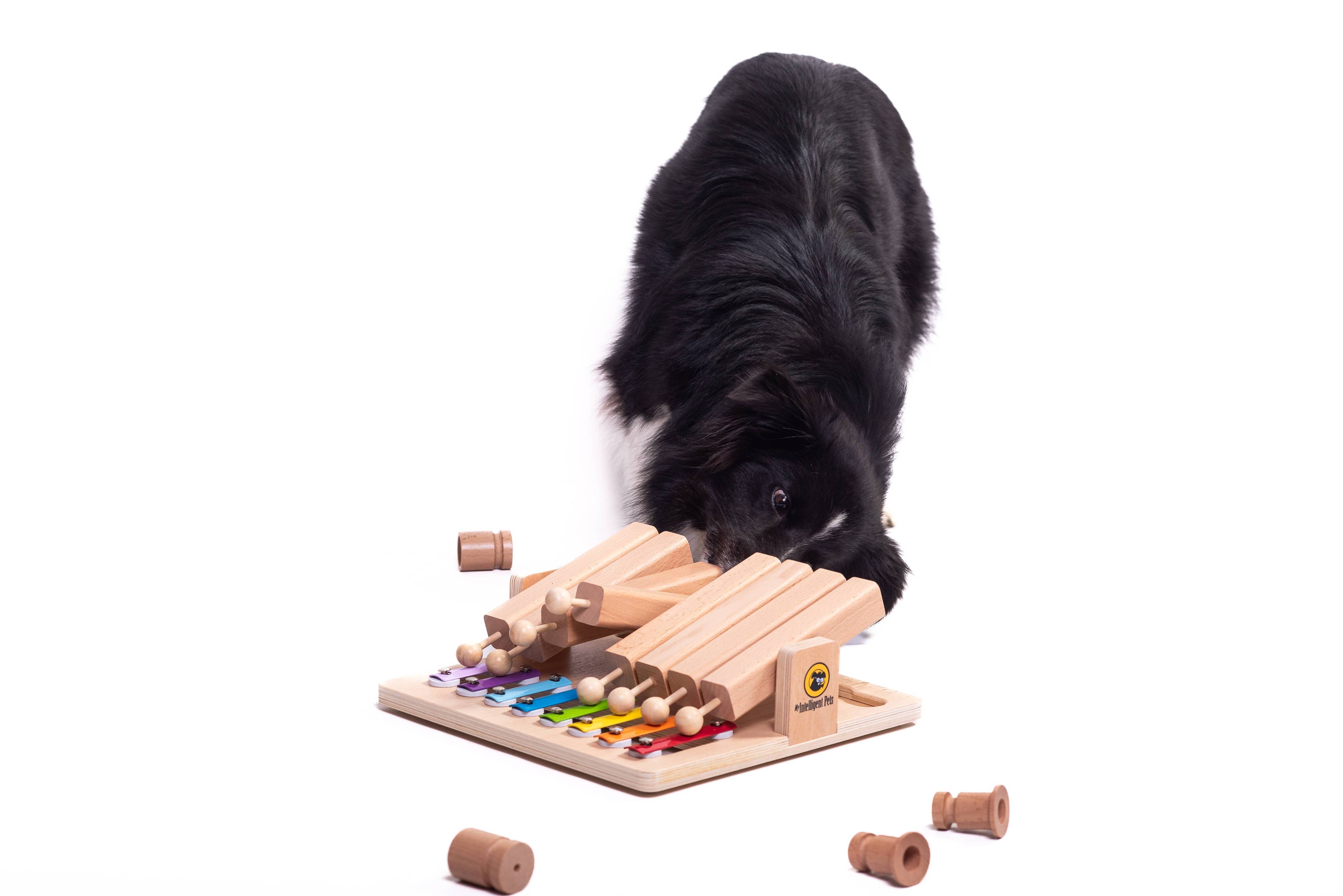 My Intelligent Dogs - Piano - Interaktiv leksaksprodukt för året - berikande leksak