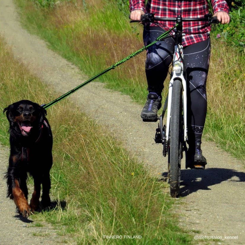 FINNERO POWER – Elastiskt hundkoppel med ryckdämpning och kontrollhandtag