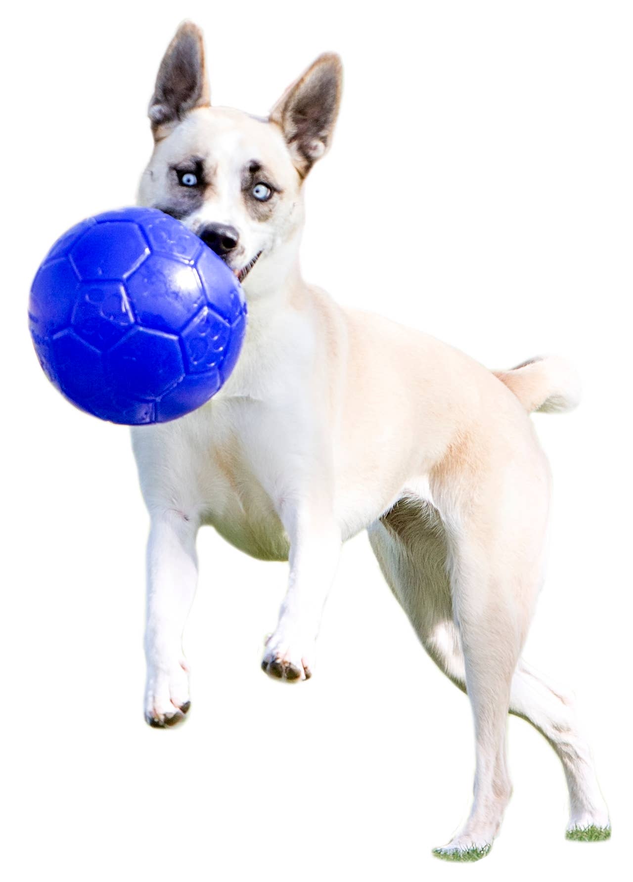 Jolly Fotboll 15 cm oceanblå – flytande hundboll för apport och lek