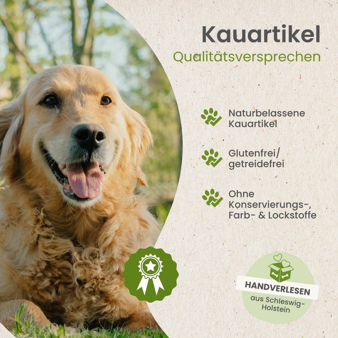 Gåsvingar – 100 % lufttorkad gås | Naturligt hundtugg