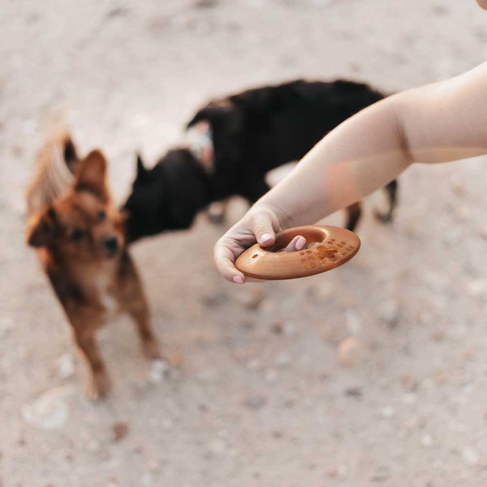 Rub flyga hund leksak: L