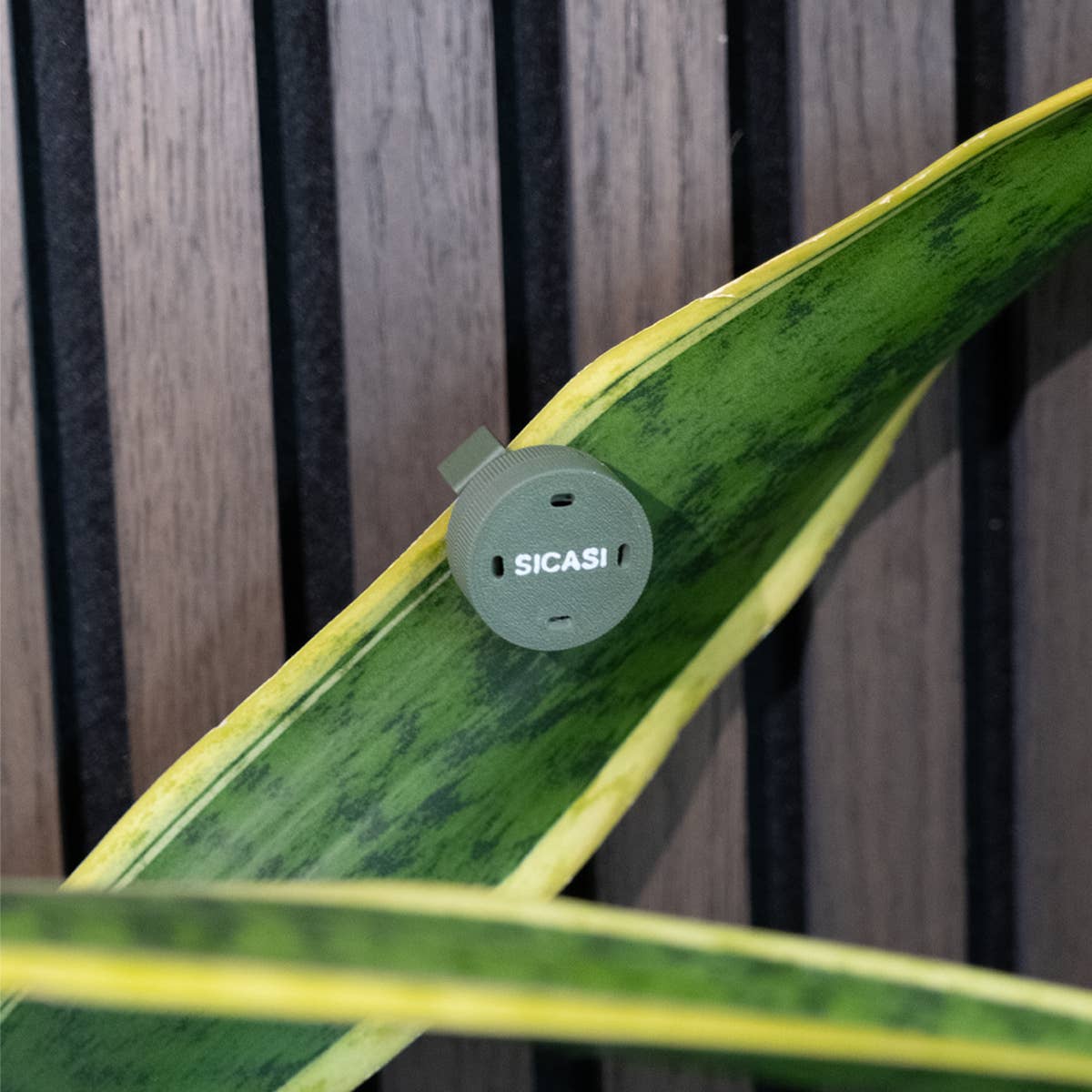 SICASI - Doftkapsel