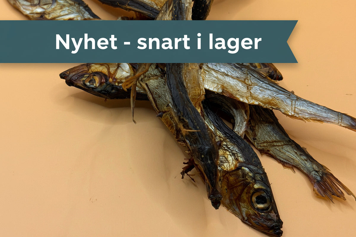 Sill 100 g – Naturligt hundgodis av hel fisk