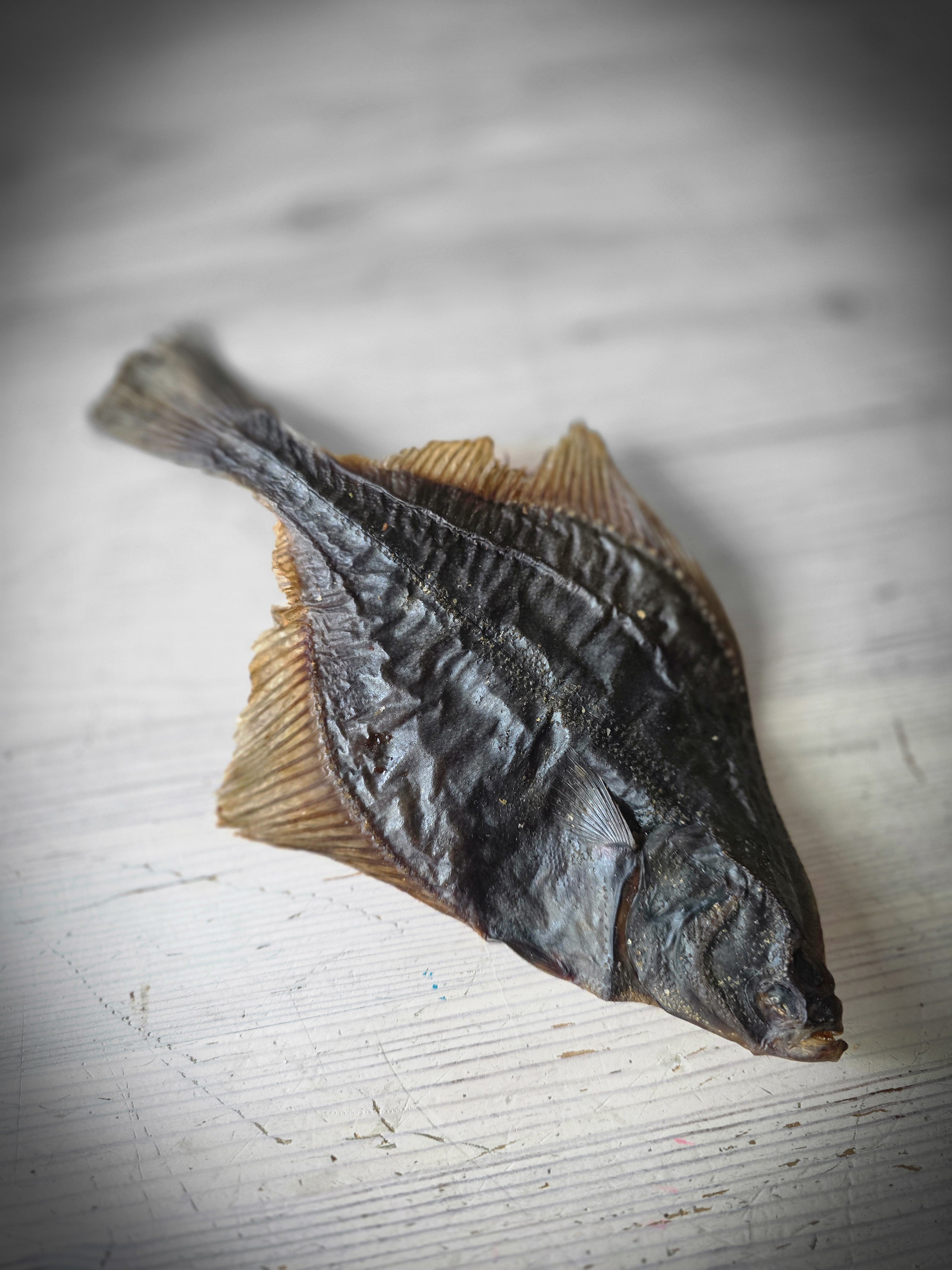 Torkad flundra – naturligt fiskgodis för hundar