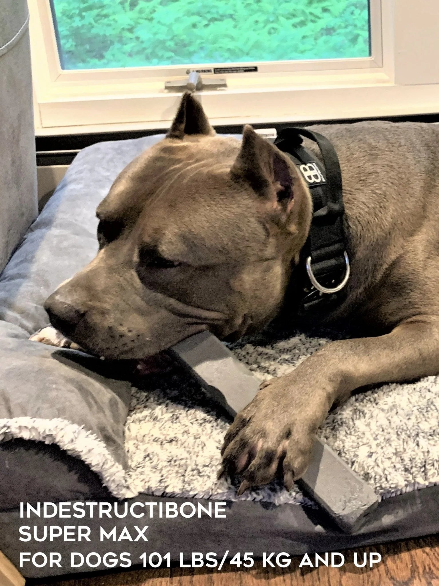 Indestructibone™ Super Max – Tuggleksak med garanti för extrema tuggare | För hundar över 46 kg (101+ lbs)