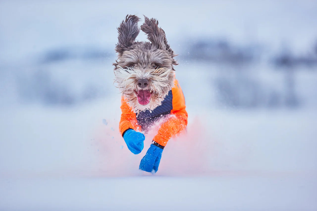 Non-stop dogwear Long Distance Bootie – Ultralätta tasskydd för aktiva hundar