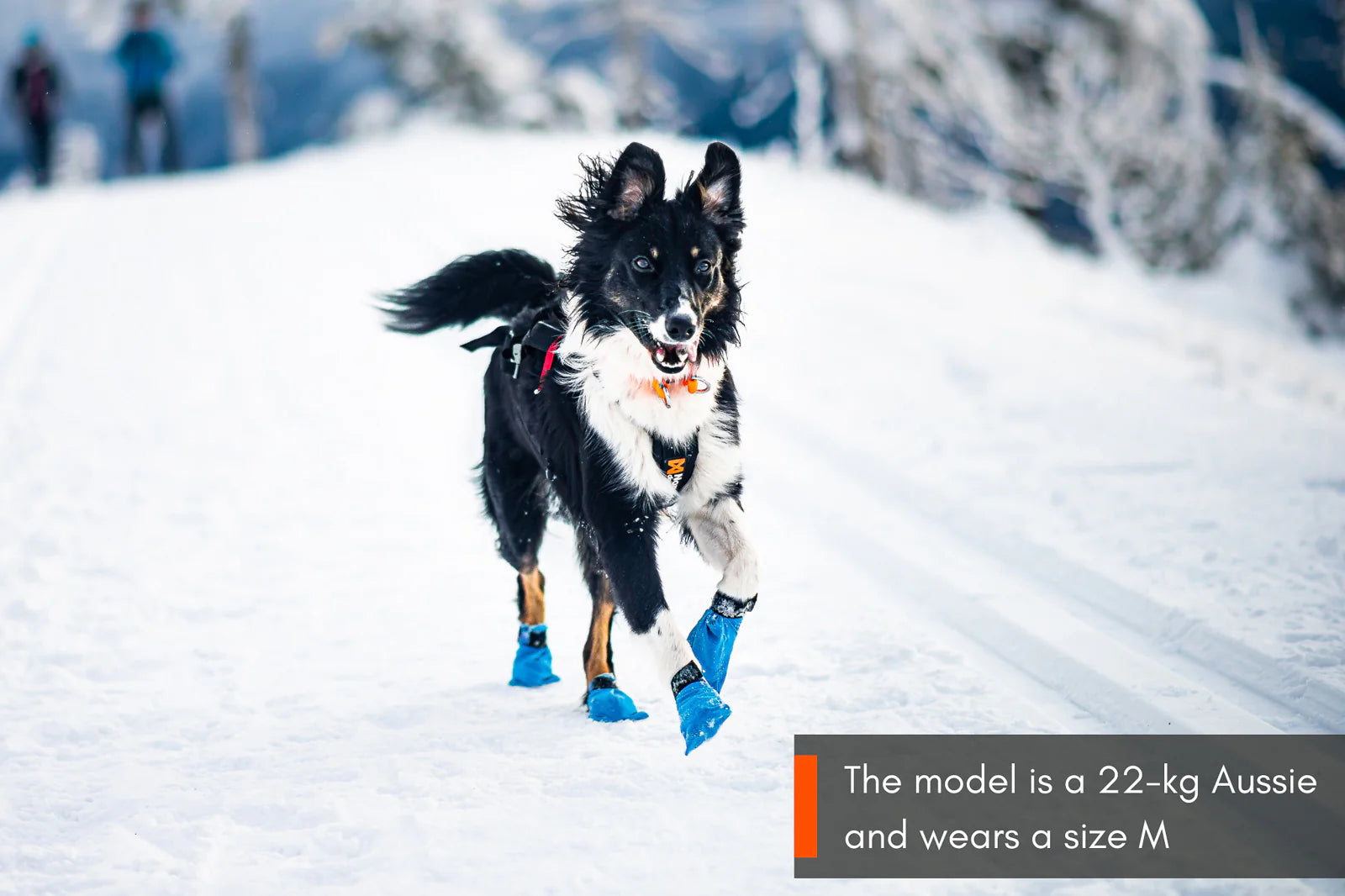 Non-stop dogwear Long Distance Bootie – Ultralätta tasskydd för aktiva hundar