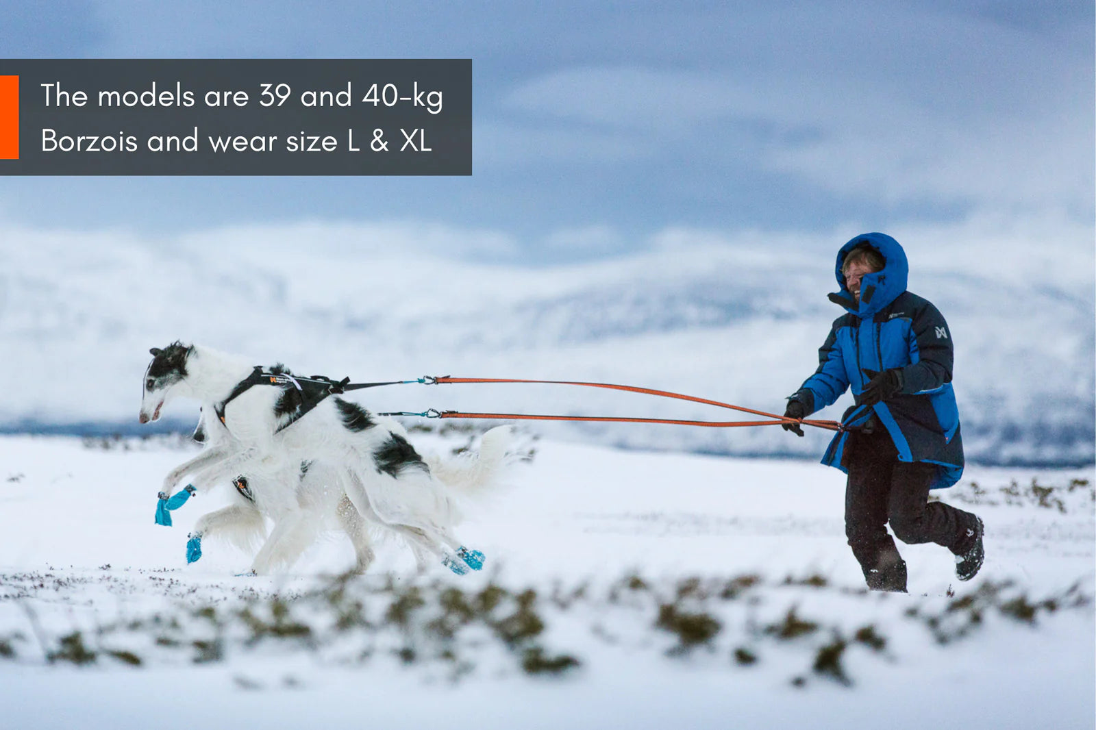 Non-stop dogwear Long Distance Bootie – Ultralätta tasskydd för aktiva hundar